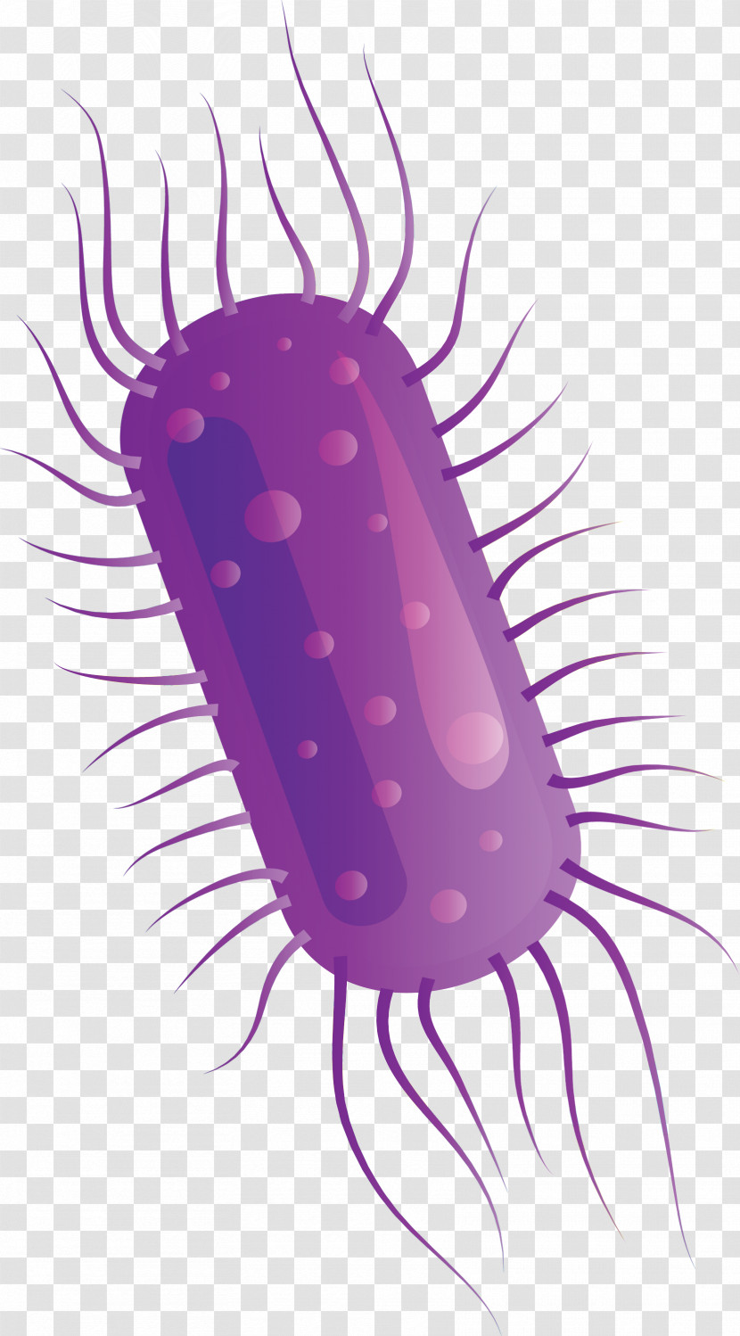 Coronavirus Corona COVID Transparent PNG