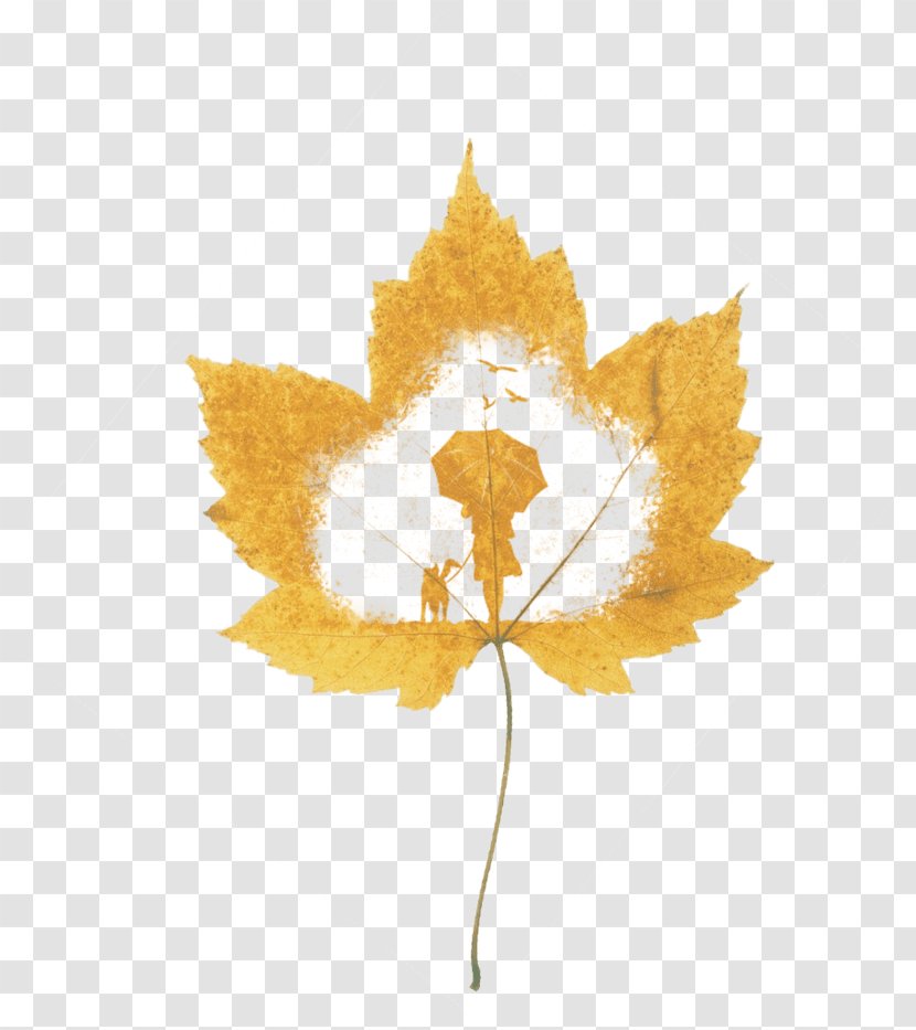 Vector Graphics Television Image Download - Symmetry - Maple Leaf Silhouette Transparent PNG