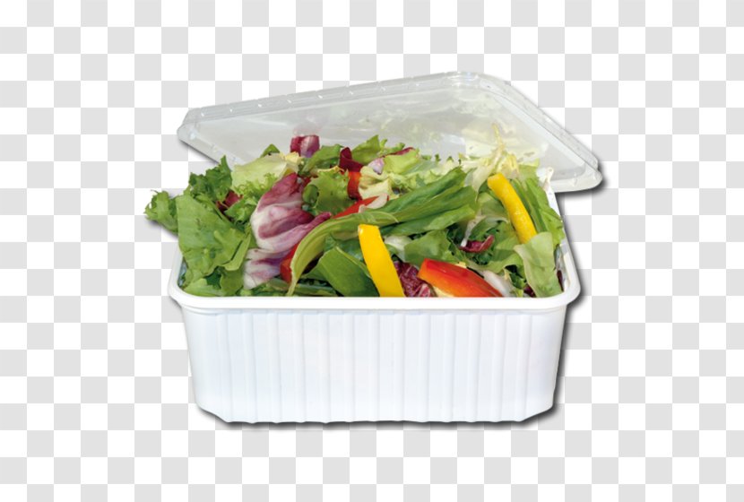 Leaf Vegetable Vegetarian Cuisine Recipe Plastic Salad Transparent PNG