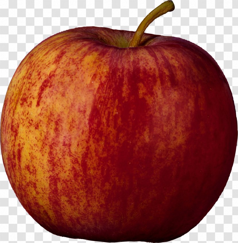 Download Clip Art - Fruit - Apple Transparent PNG