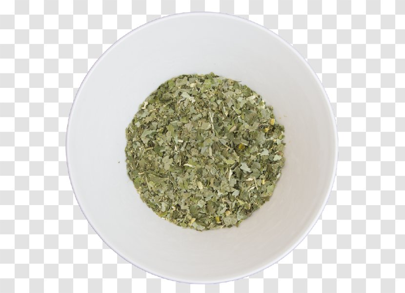 Herb Alchemilla Vulgaris Common Sage Seasoning Vegetarian Cuisine - Food - Medicinal Herbs Transparent PNG