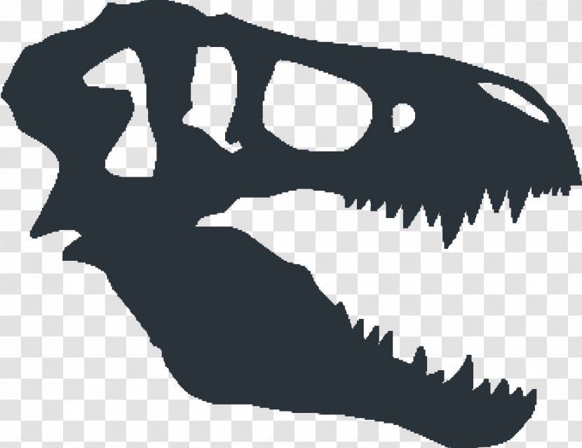 Tyrannosaurus Dinosaur Fossils Skull - Skeleton - Vector Transparent PNG