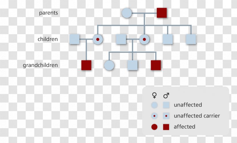 Sickle Cell Disease Graphic Design Diagram - System - Woman Explaining Transparent PNG