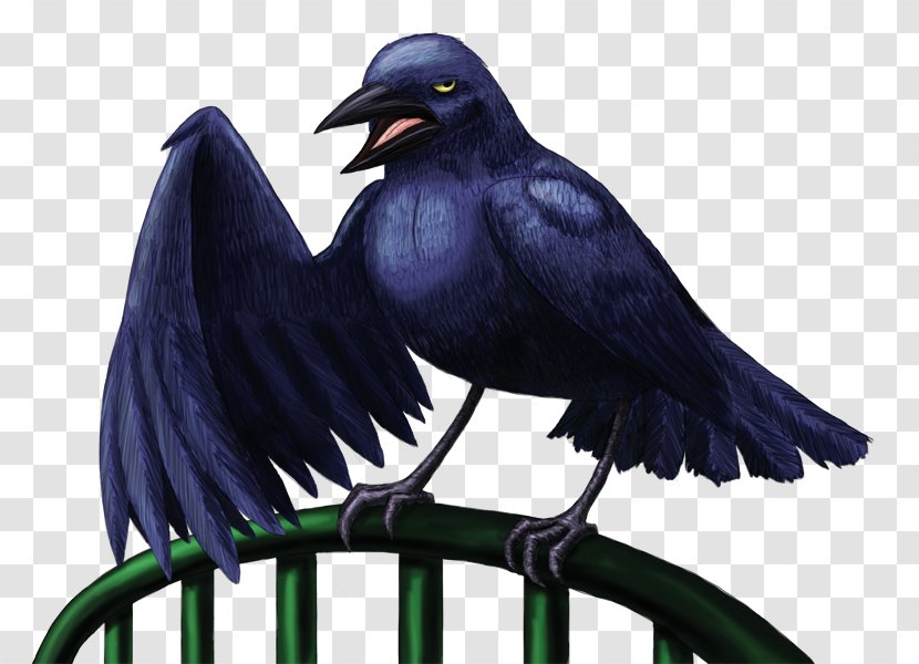 American Crow Rook New Caledonian Common Raven - Wing - Blackbird Cartoon Transparent PNG