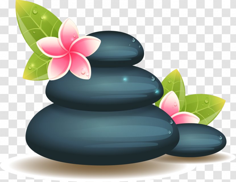Flower Spa Adobe Illustrator Drawing Illustration - Flowerpot - Vector Hand Painted SPA Stone Transparent PNG