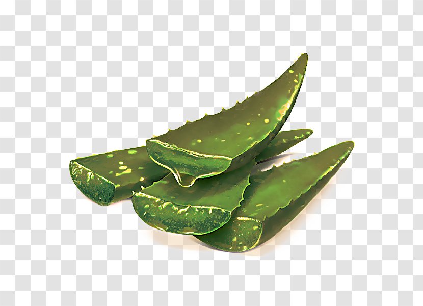Leaf Plant Aloe Snow Peas Food Transparent PNG