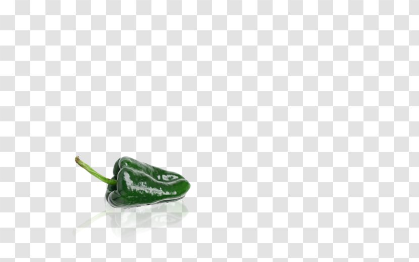 Poblano Pasilla Seed Chili Pepper - Shoe Transparent PNG