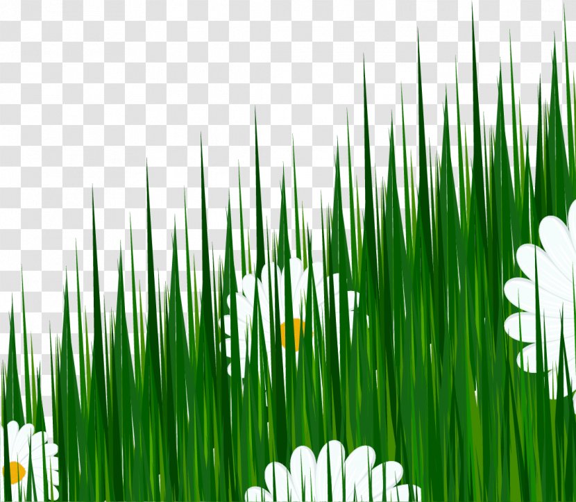 Photography Drawing Royalty-free Illustration - Commodity - Vector Painted Green Grass Transparent PNG