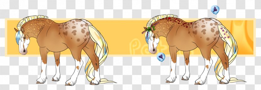 Foal Mane Mare Stallion Mustang - Fictional Character Transparent PNG