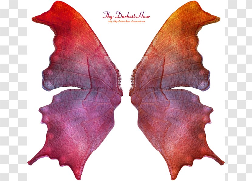 Fairy Art Pixie - Leaf Transparent PNG