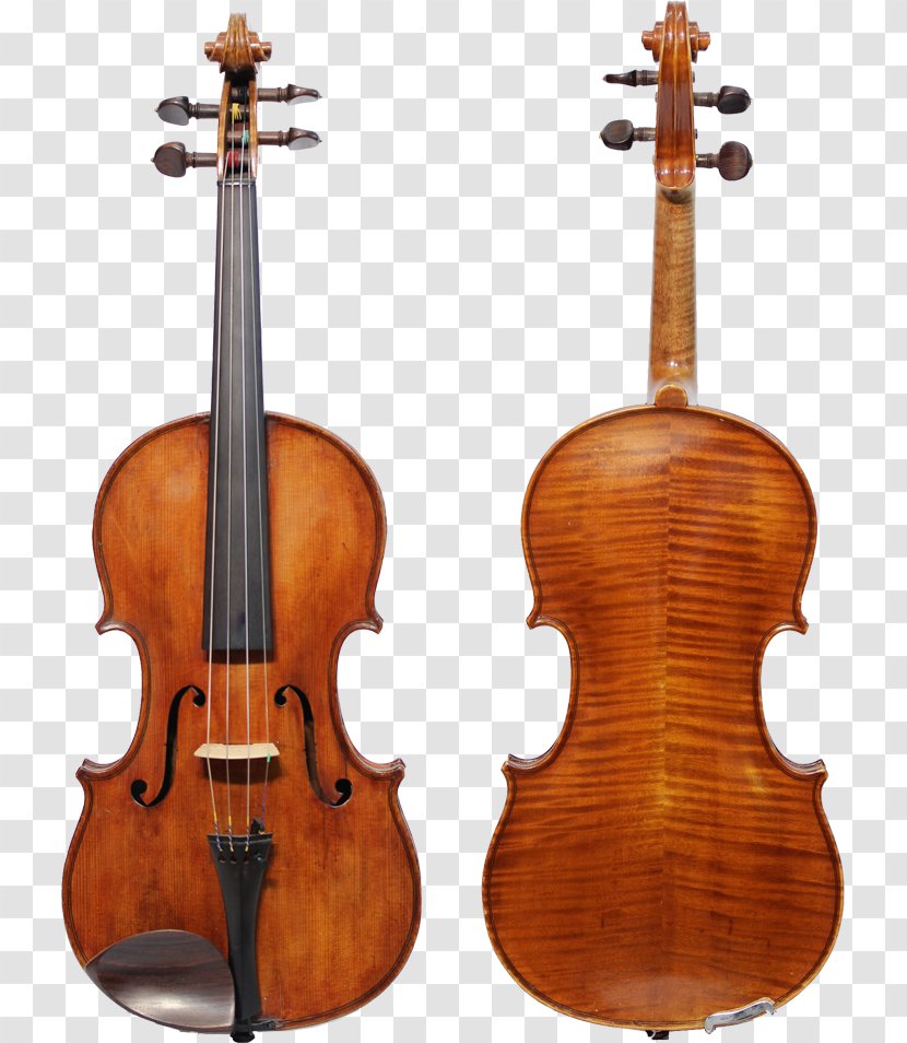 Violin Stradivarius String Instruments Bow Cello - Cartoon - Rare Musical Transparent PNG