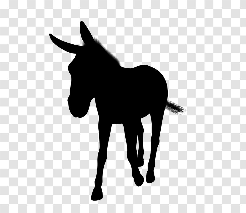 Mule Foal Mustang Stallion Donkey - Sorrel - Pony Transparent PNG