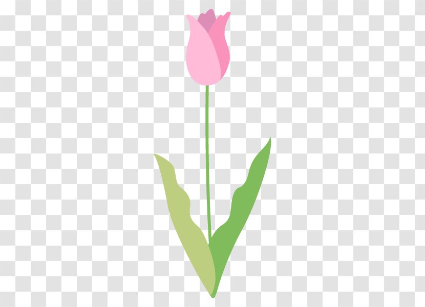 Tulip Clip Art Plant Stem Leaf Desktop Wallpaper - Flora Transparent PNG