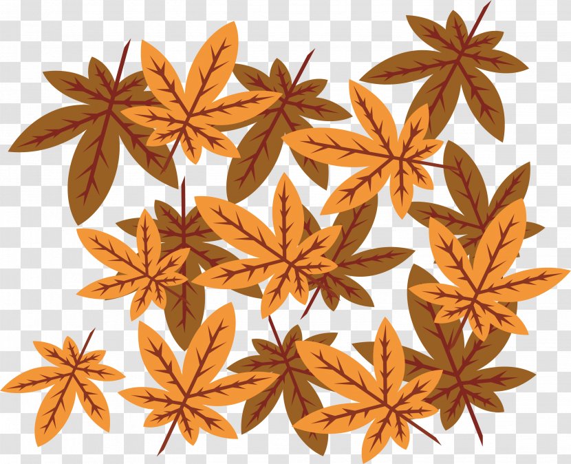 Maple Leaf - Autumn - Pattern Transparent PNG