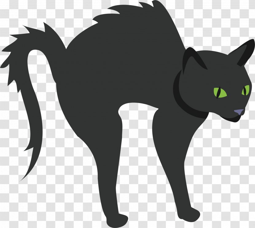 Black Cat - Tail - A Frightened Transparent PNG