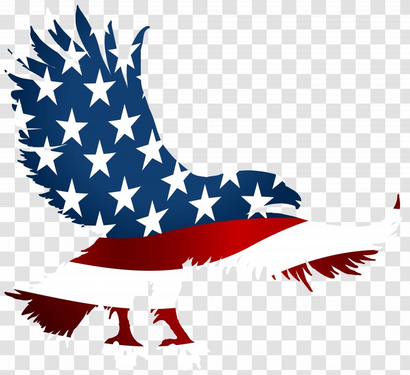 United States T-shirt American Eagle Outfitters Clothing Jersey - Flag Of The - Transparent Clip Art Image Transparent PNG