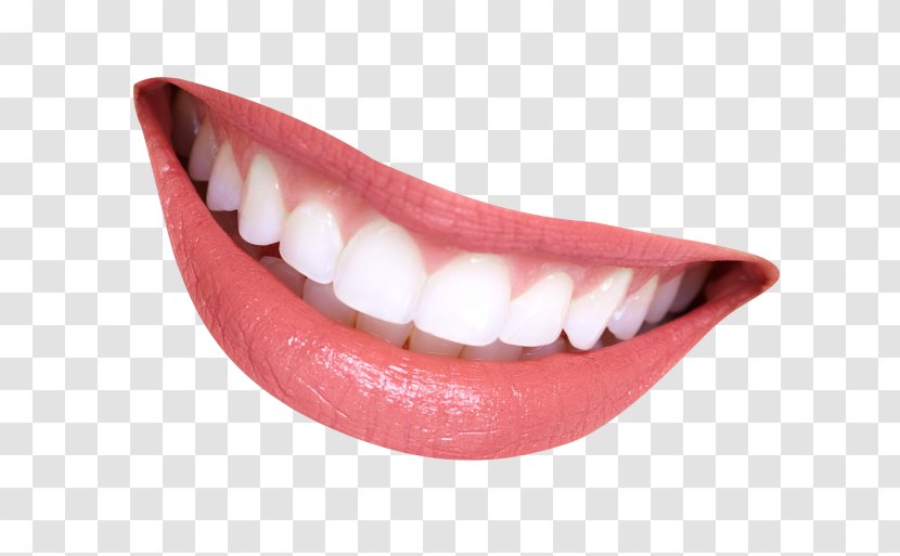 Smile Human Mouth Clip Art - Jaw Transparent PNG