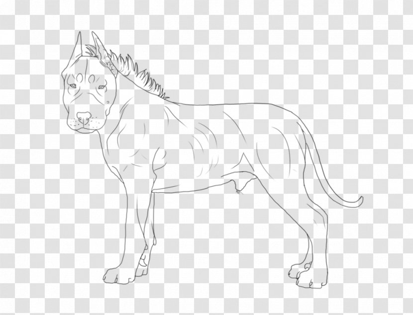Lion Line Art Dog Drawing Painting - Cat Transparent PNG