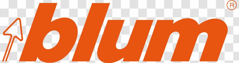 Julius Blum Cabinetry Hinge Drawer Manufacturing - Orange - Kitchen Transparent PNG
