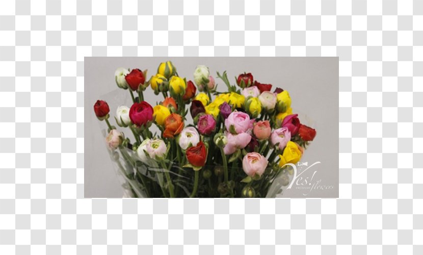 Floral Design Cut Flowers Flower Bouquet Artificial - Tulip Transparent PNG