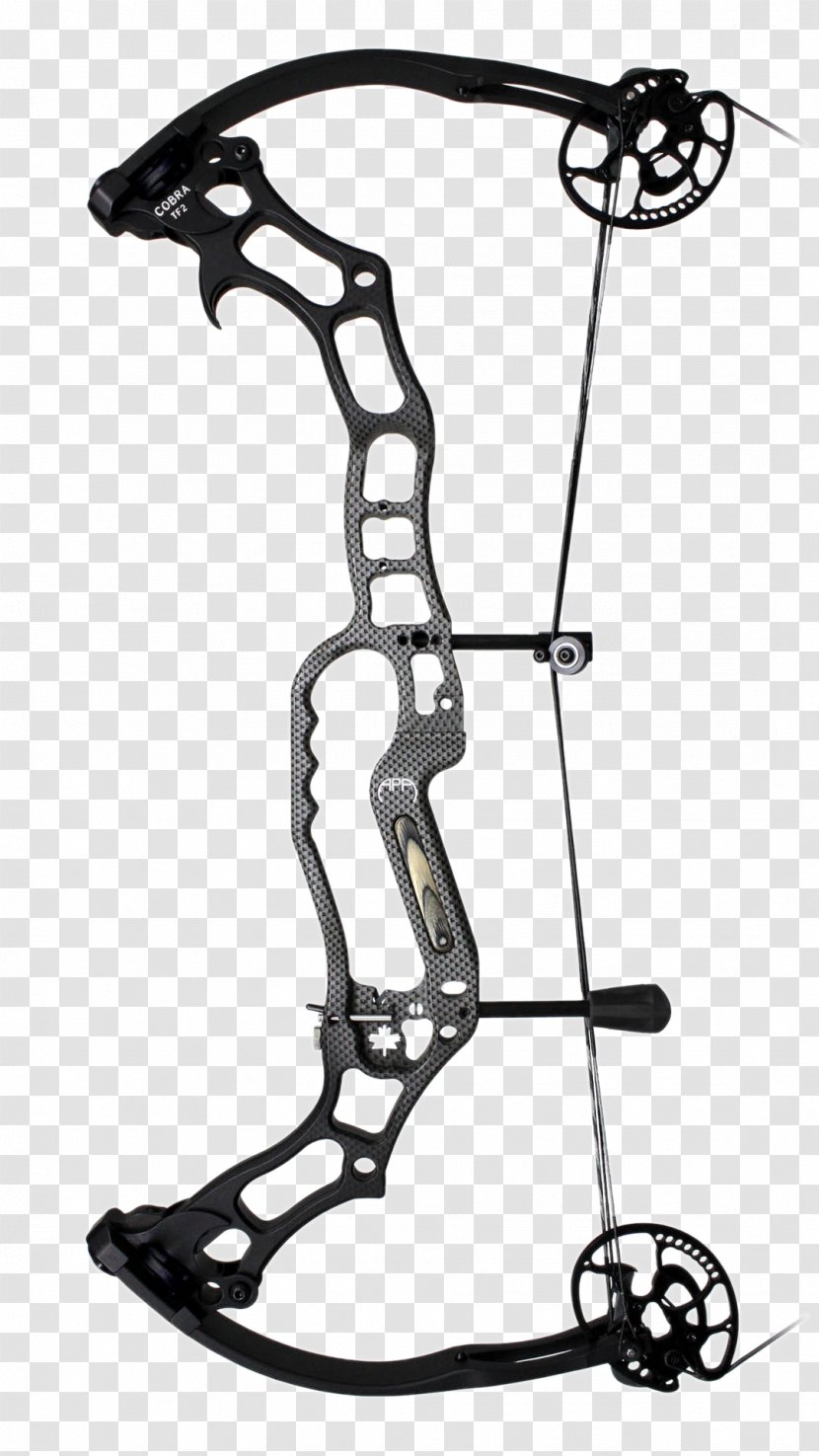 Bow And Arrow King Cobra Snakes Bowhunting - M1 Transparent PNG