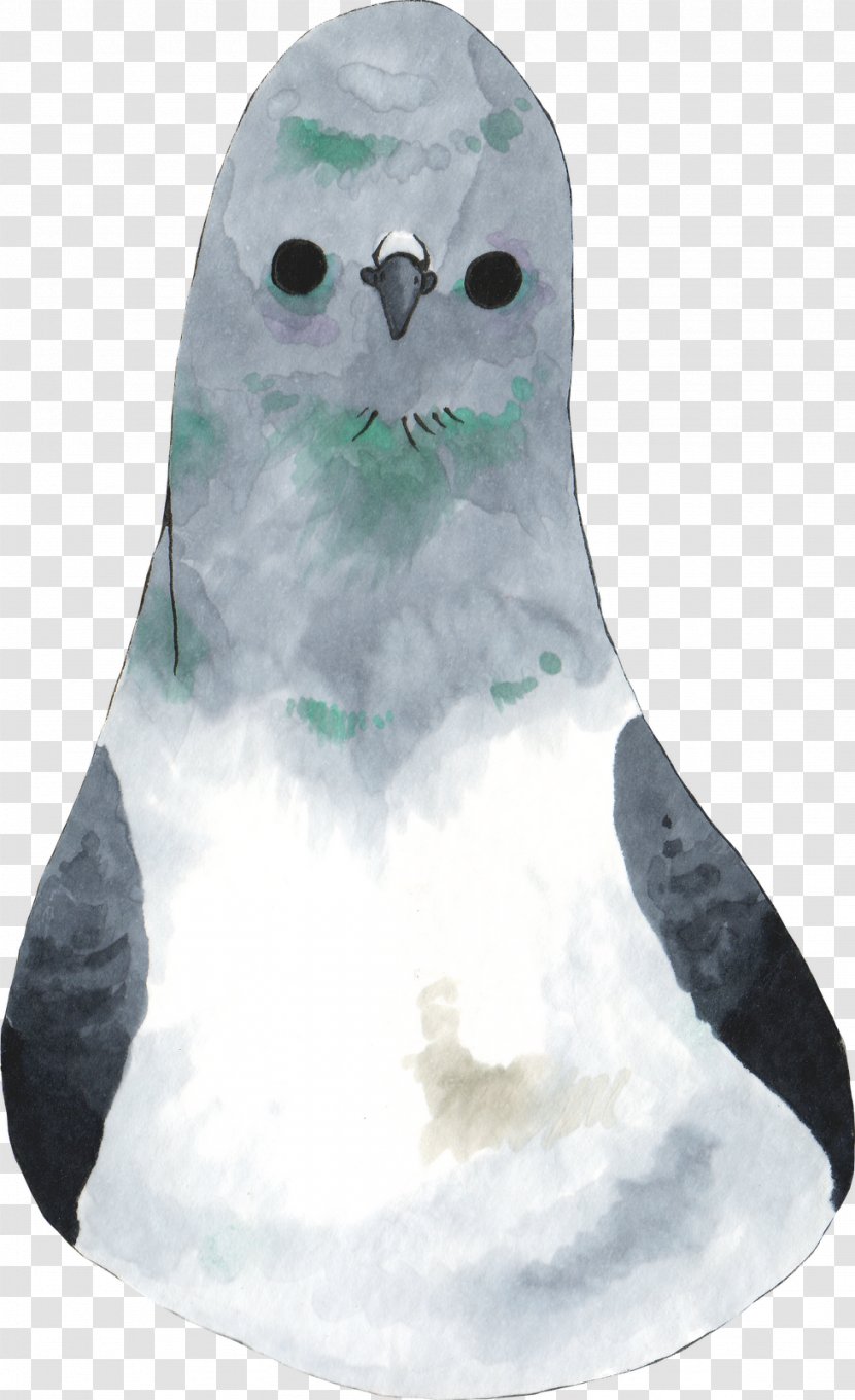 Beak - Bird Transparent PNG