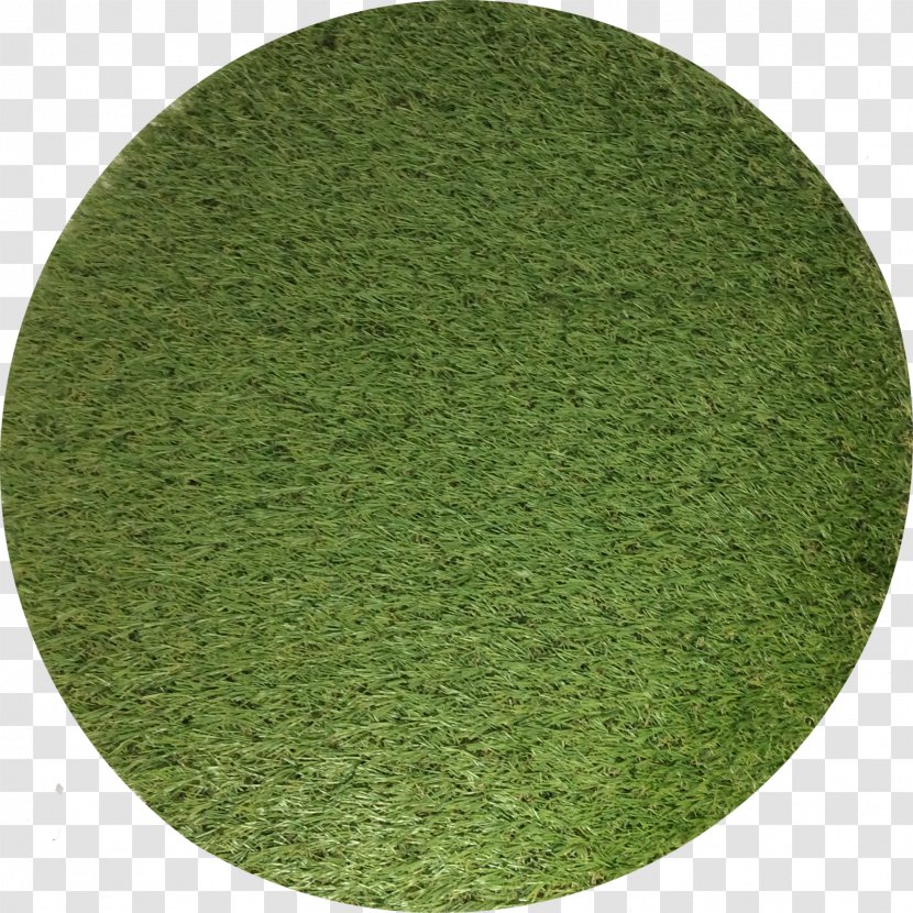 Table Argyle Golf Knickerbockers Shoe - Mat - Grass Transparent PNG