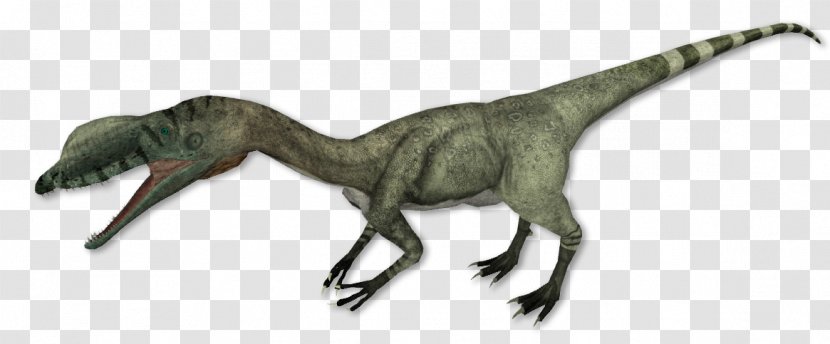Liliensternus Procompsognathus Cryolophosaurus Theropods Velociraptor - Tyrannosaurus - Ring Tailed Lemur Transparent PNG