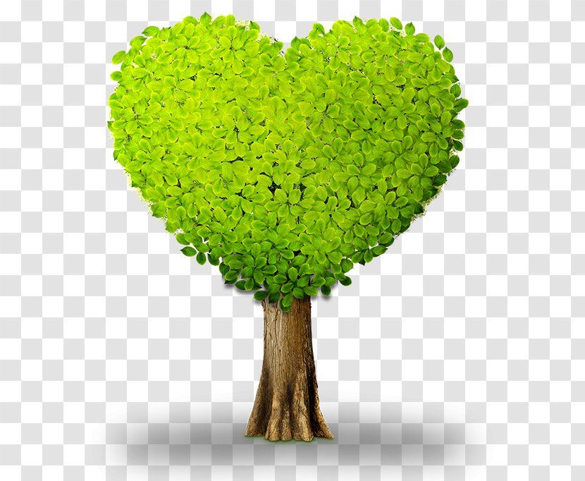 Heart Green Tree Information - Designer Transparent PNG