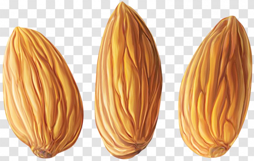 Almond Nut Clip Art - Clipart Transparent PNG