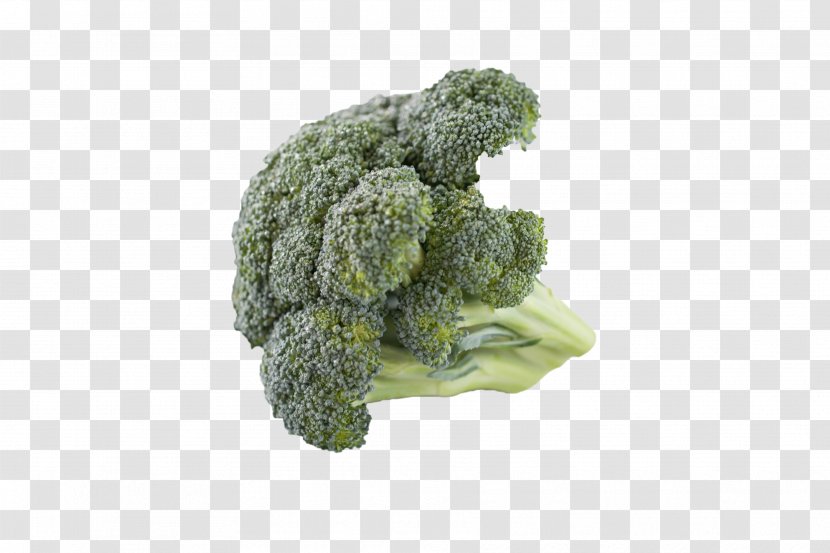 Cream Of Broccoli Soup Vegetarian Cuisine Cauliflower Cruciferous Vegetables - Sulforaphane Transparent PNG