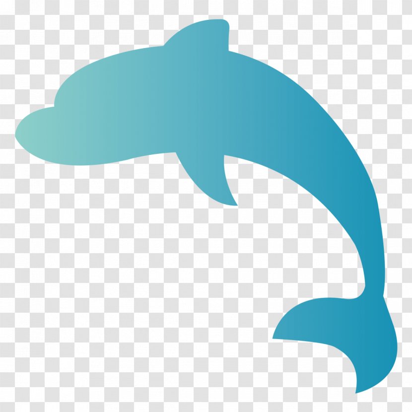 Common Bottlenose Dolphin Clip Art Product Design Marine Biology Transparent PNG