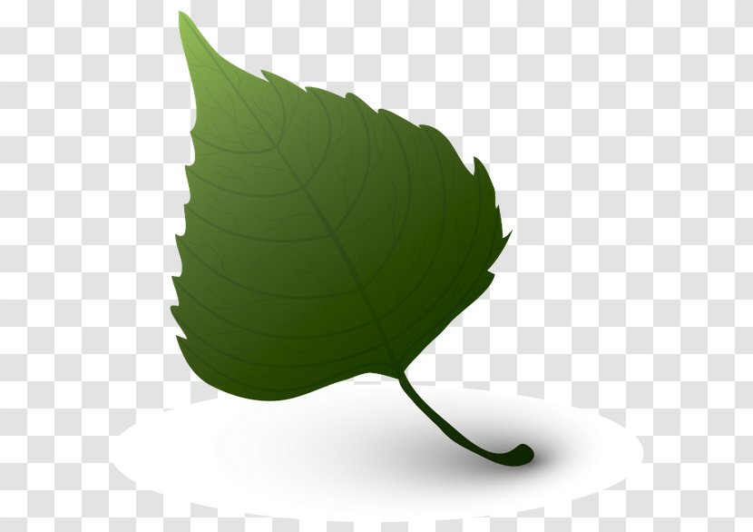 Leaf Green Color - Element Transparent PNG