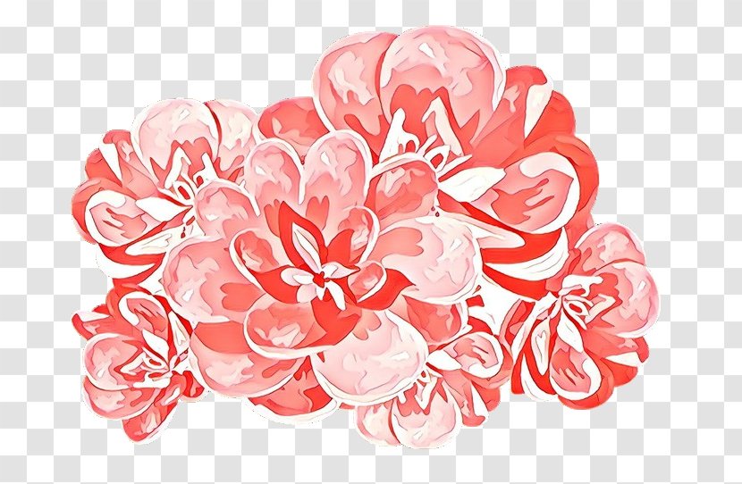Floral Design - Petal - Rose Transparent PNG