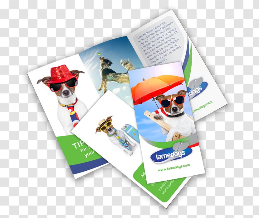 Advertising Brochure Printing Folded Leaflet - Flyer - Design Transparent PNG