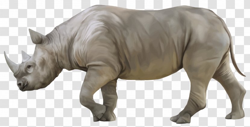 Rhinoceros 3D Rendering - Photography - Rhino Transparent PNG