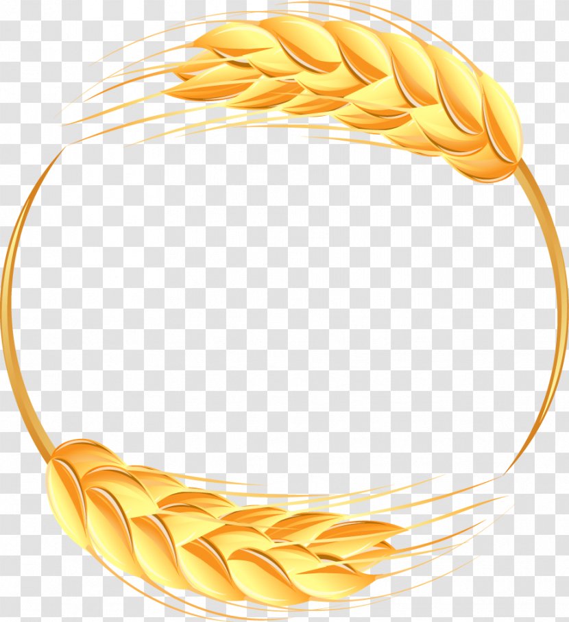 Wheat Ear Illustration - Agriculture - Beautiful Border Transparent PNG