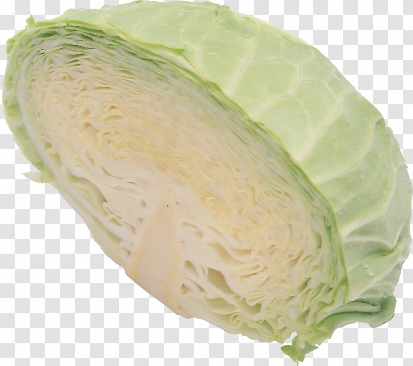 Kale Cabbage Vegetable - Red - Image Transparent PNG