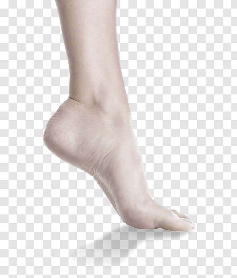 Toe Foot Joint Spissfot Ankle - Flower - Hand Transparent PNG