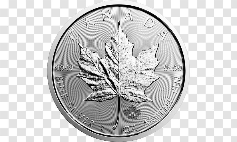 Canadian Silver Maple Leaf Gold Coin - Royal Mint Transparent PNG
