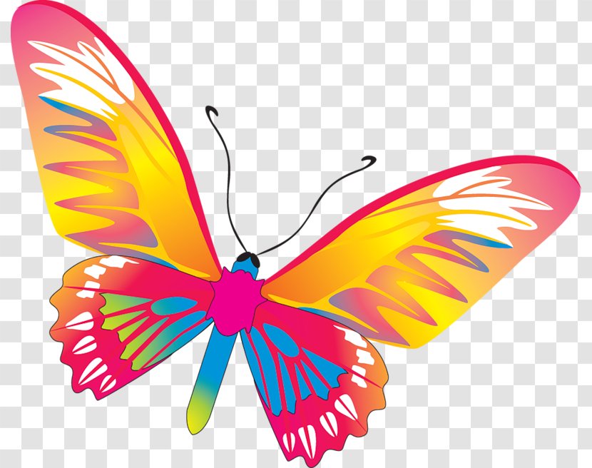 Butterfly Drawing Clip Art - Wing Transparent PNG