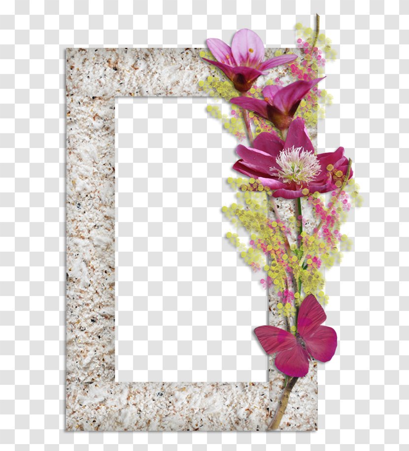 Floral Design Picture Frames Painting Paper - Cut Flowers Transparent PNG