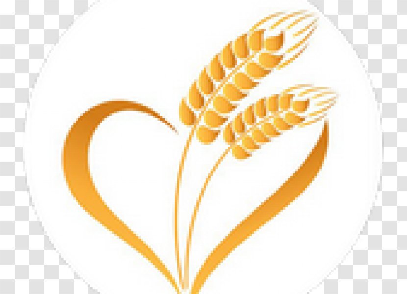 Wheat Caryopsis Ear Cereal Food Grain - Oat Transparent PNG