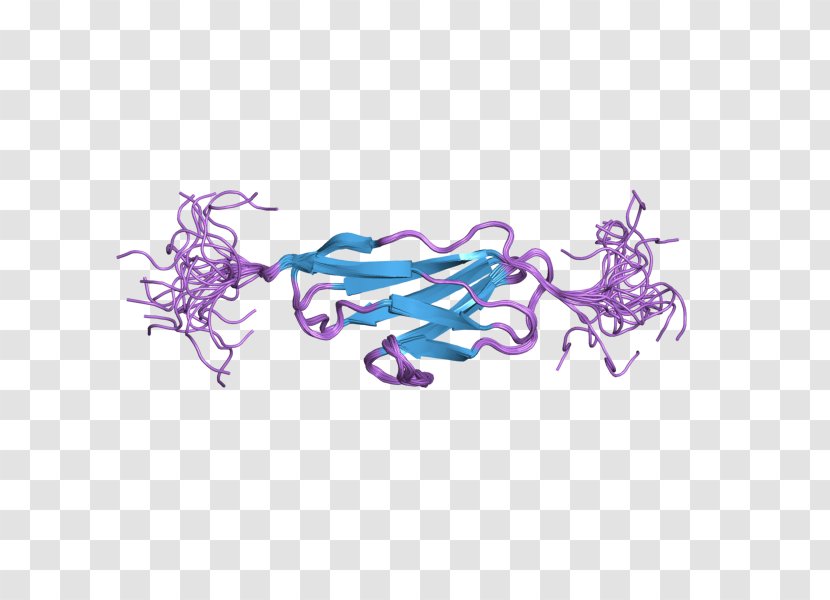 Obscurin Protein Titin Sarcomere Gene - Organism Transparent PNG