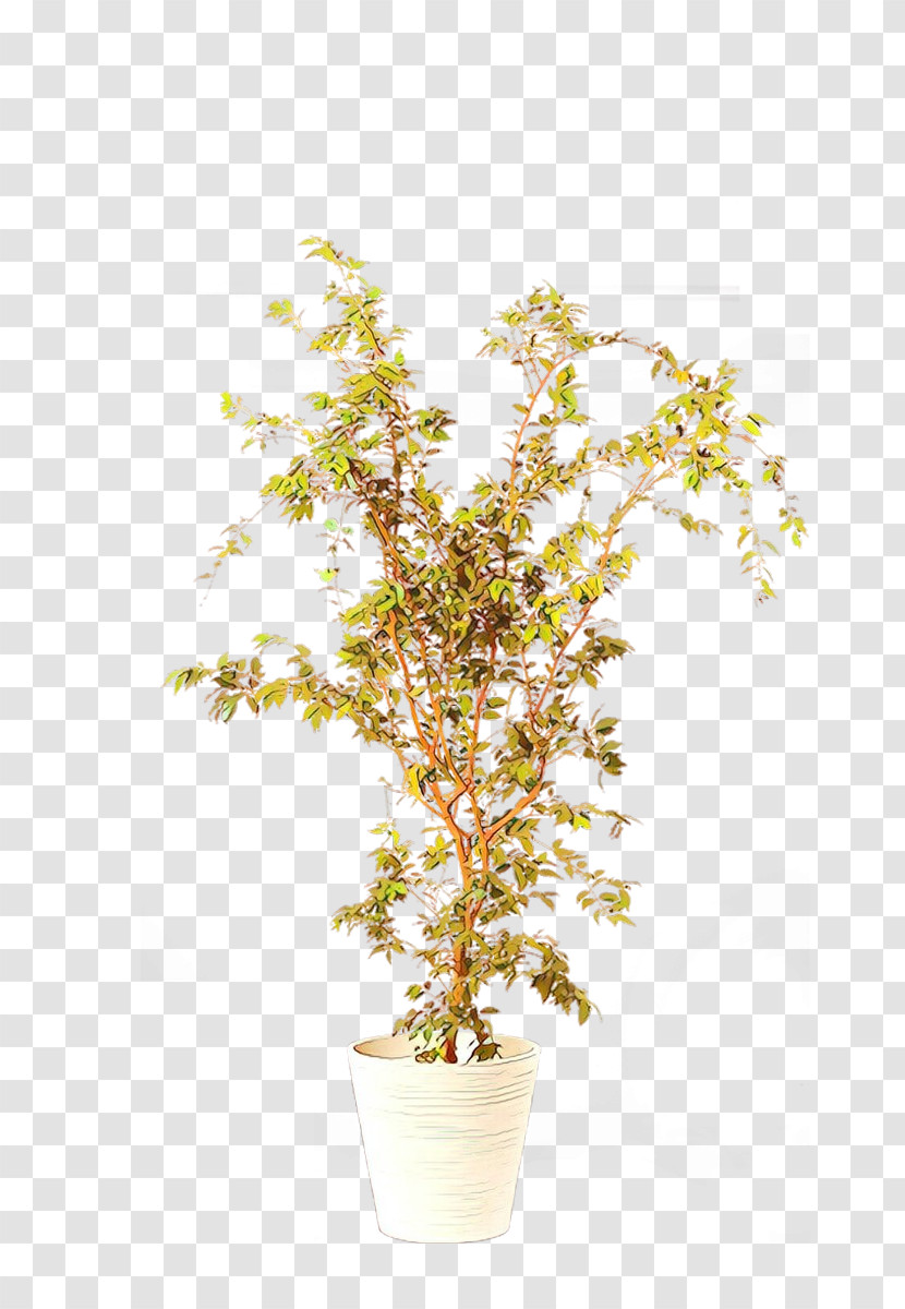 Tree Flower Plant Yellow Branch Transparent PNG