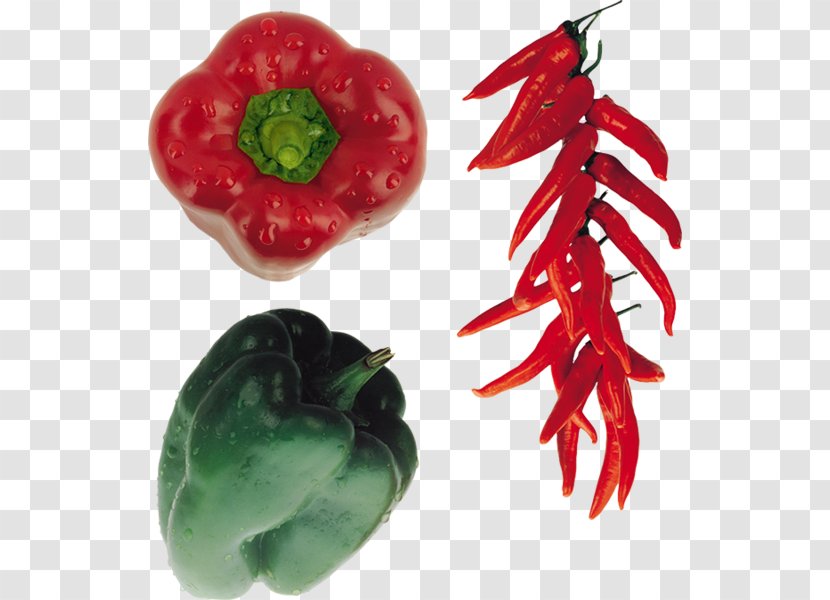 Tabasco Pepper Bird's Eye Chili Cayenne Malagueta Bell - Food Transparent PNG