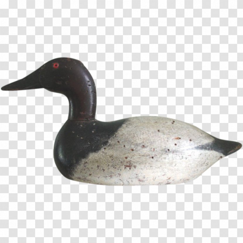 Duck Decoy Mallard Goose - Greenwinged Teal Transparent PNG