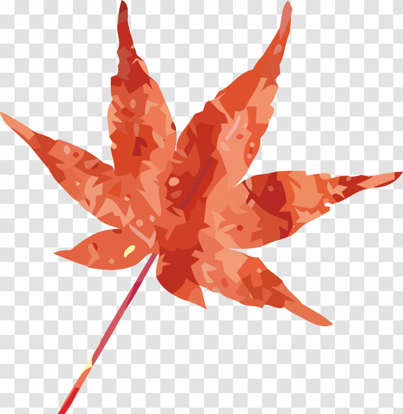 Maple Leaf Transparent PNG