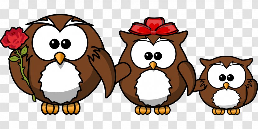 Owl Bird Cartoon Clip Art - Beak - Owls Transparent PNG