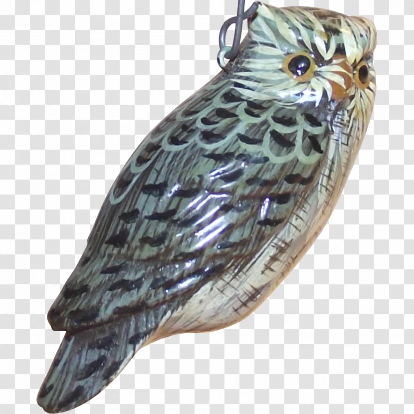 Owl Fauna Beak Feather Falcon Transparent PNG